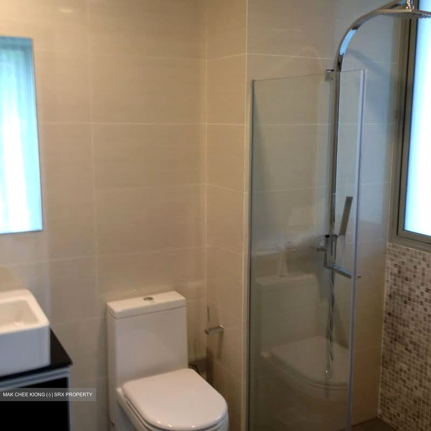 Loft @ Stevens (D10), Apartment #559136391